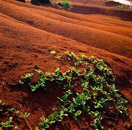 《风之少年 克罗诺亚1&2乘风归来》各平台画面细节